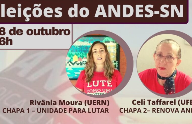 Confira conversa entre candidatas à presidência do Andes-SN realizada pela ASPUV e outras ADs