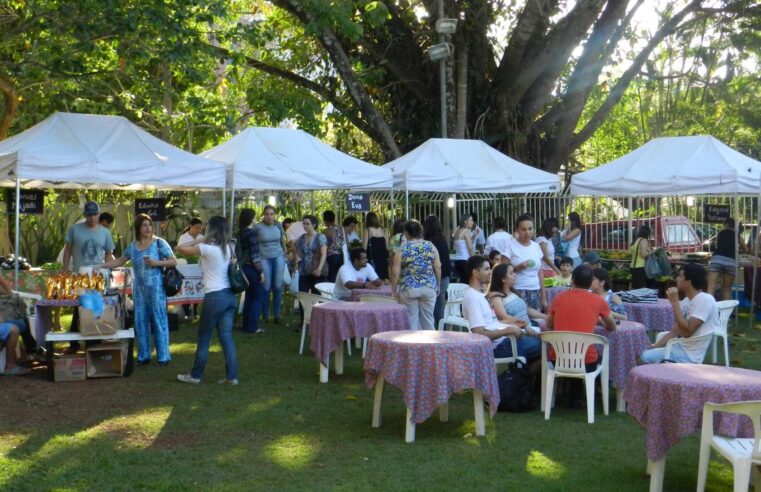 Quintal Solidário desta quarta (16) tem feira de troca e doação de livros