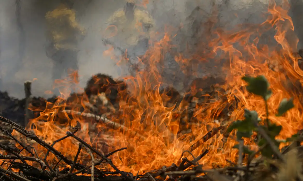 Fogo arrasa 88 milhões de hectares do Cerrado nos últimos 39 anos