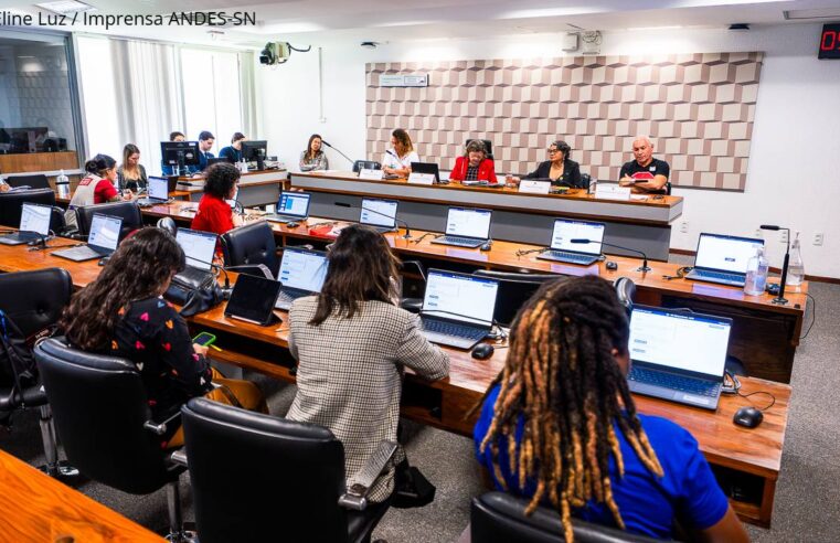 ANDES-SN defende que PNE estabeleça 10% do PIB para a educação, em audiência no Senado