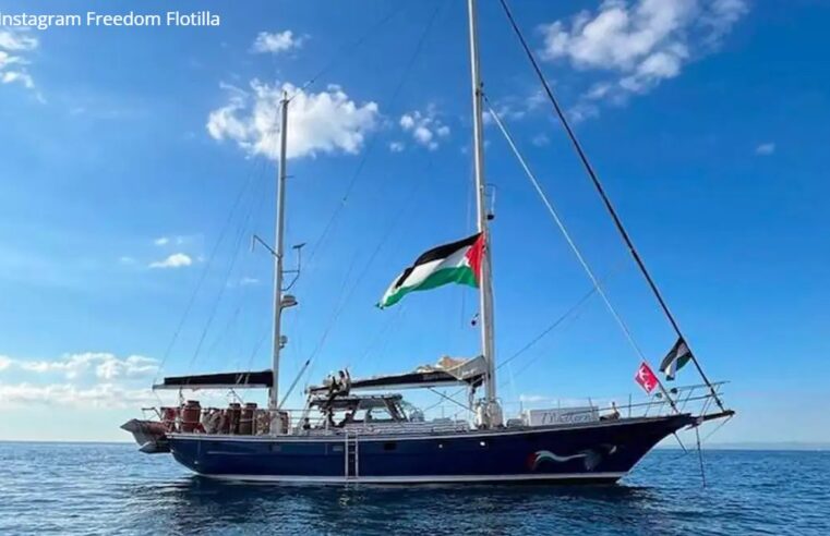 ANDES-SN repudia sequestro de ativistas, incluindo brasileiro, por Israel